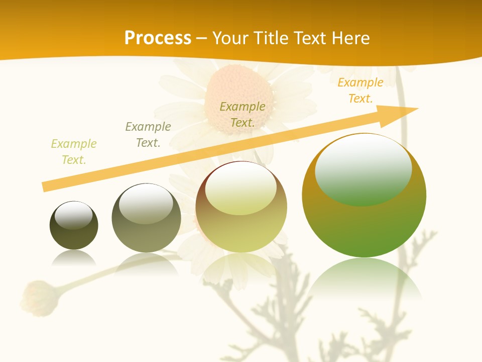 Herb Chamomile Green PowerPoint Template