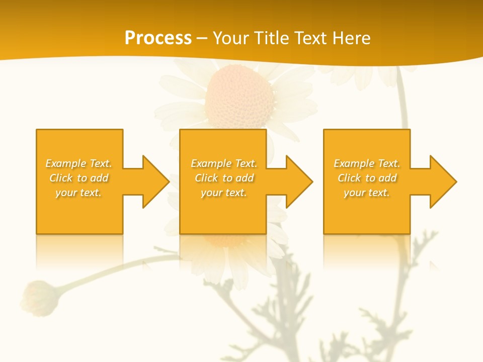 Herb Chamomile Green PowerPoint Template
