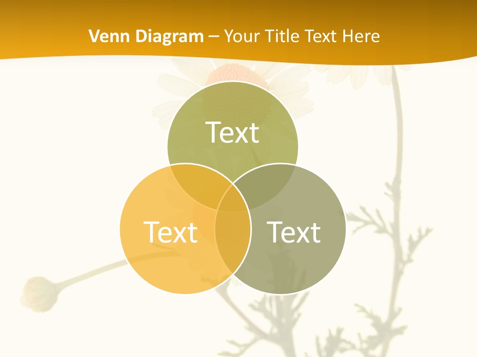 Herb Chamomile Green PowerPoint Template