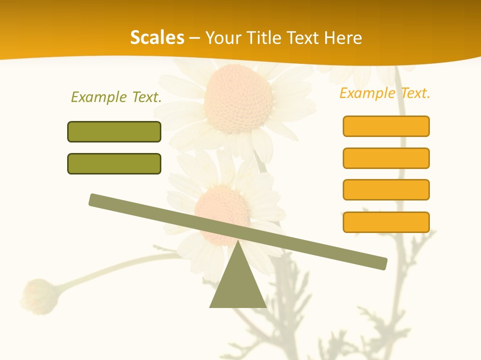 Herb Chamomile Green PowerPoint Template