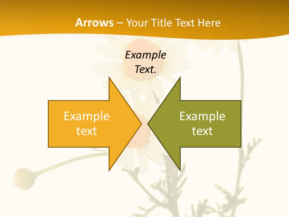 Herb Chamomile Green PowerPoint Template