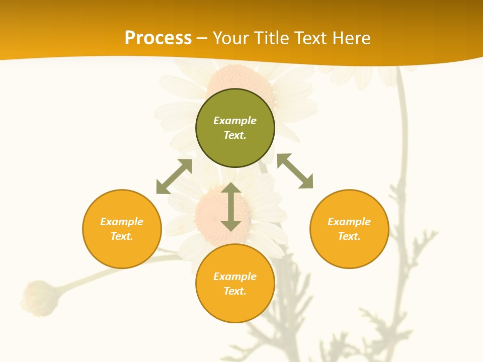 Herb Chamomile Green PowerPoint Template