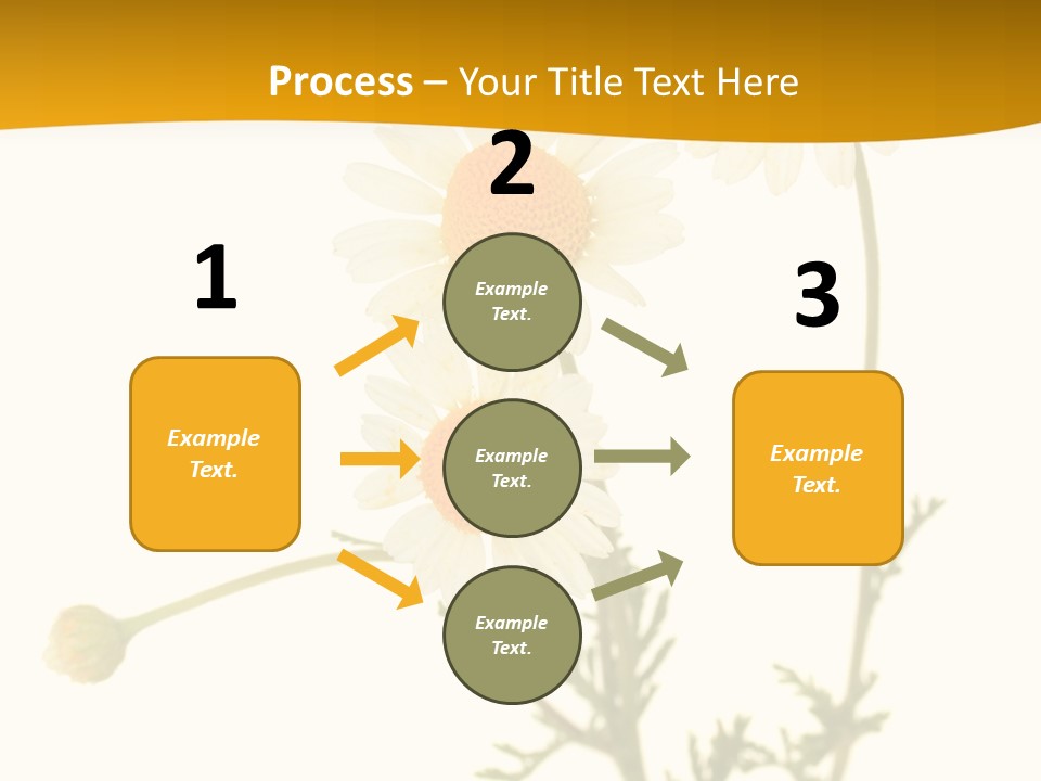 Herb Chamomile Green PowerPoint Template