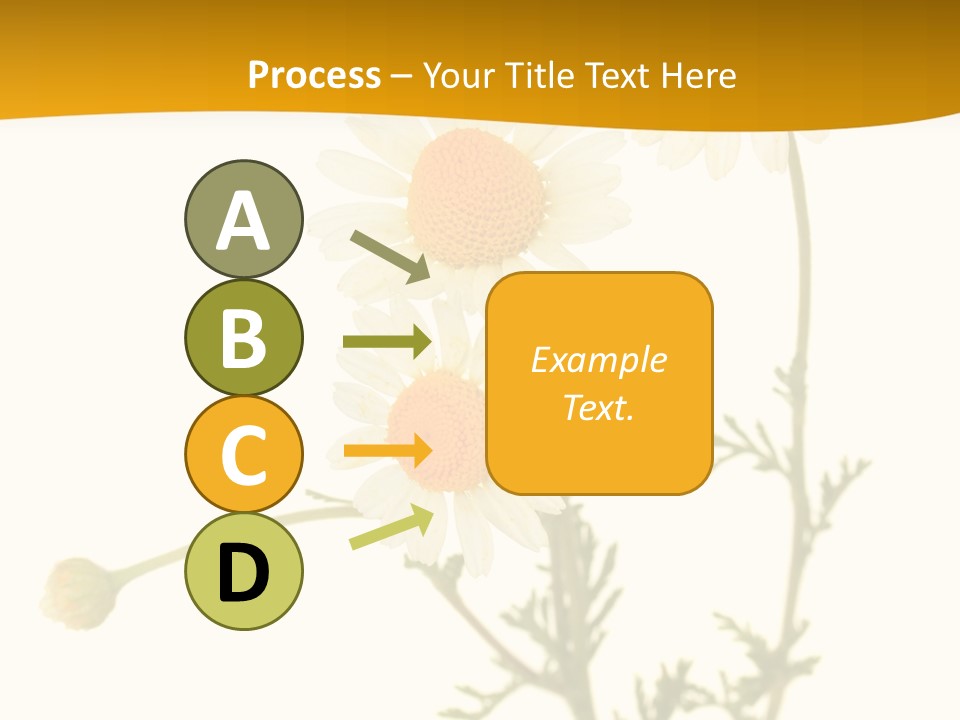 Herb Chamomile Green PowerPoint Template