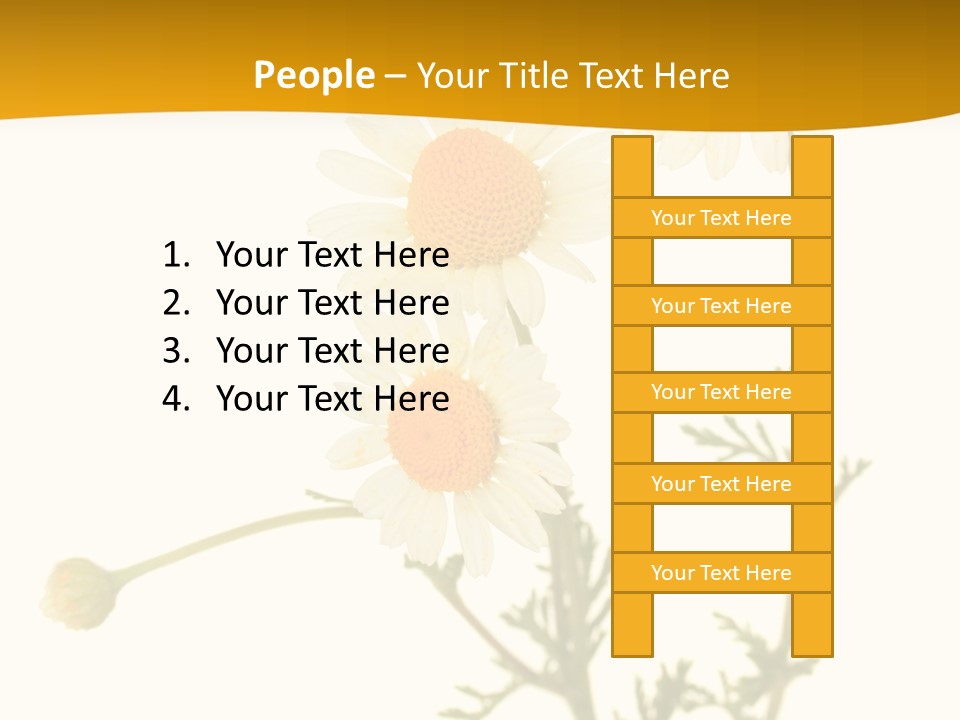 Herb Chamomile Green PowerPoint Template