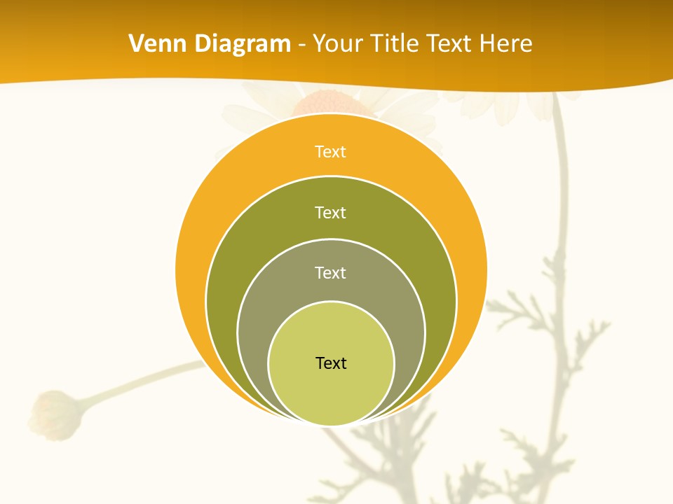 Herb Chamomile Green PowerPoint Template