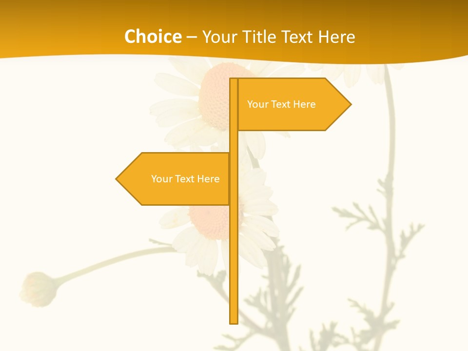 Herb Chamomile Green PowerPoint Template