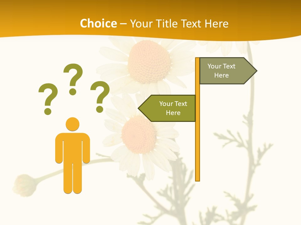 Herb Chamomile Green PowerPoint Template