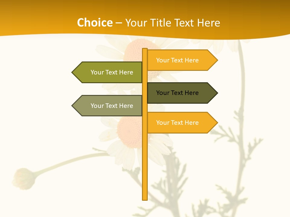 Herb Chamomile Green PowerPoint Template
