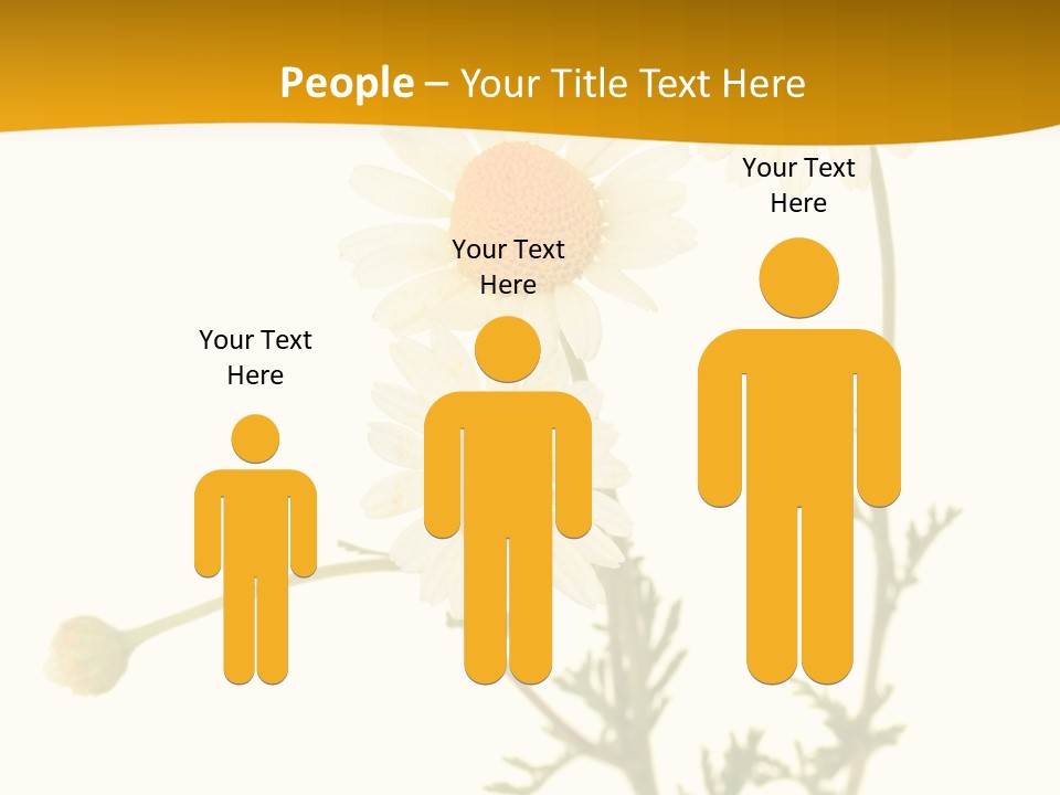 Herb Chamomile Green PowerPoint Template