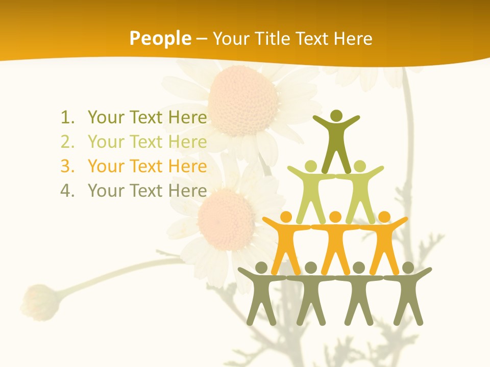 Herb Chamomile Green PowerPoint Template