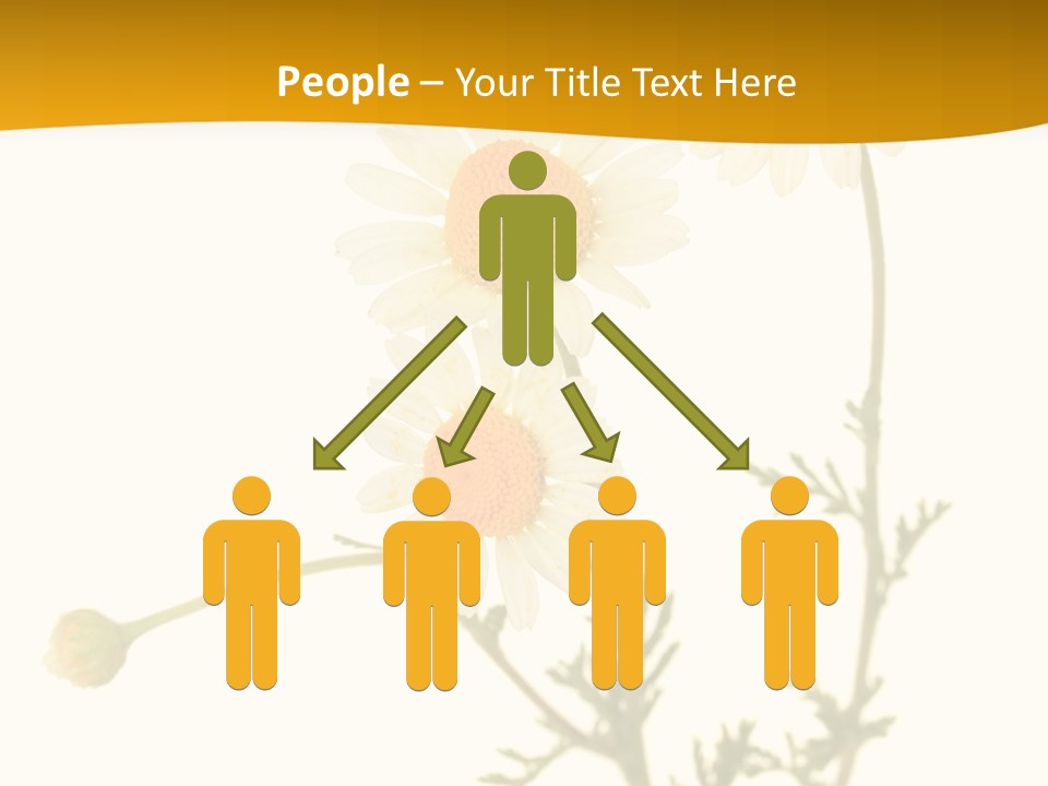 Herb Chamomile Green PowerPoint Template