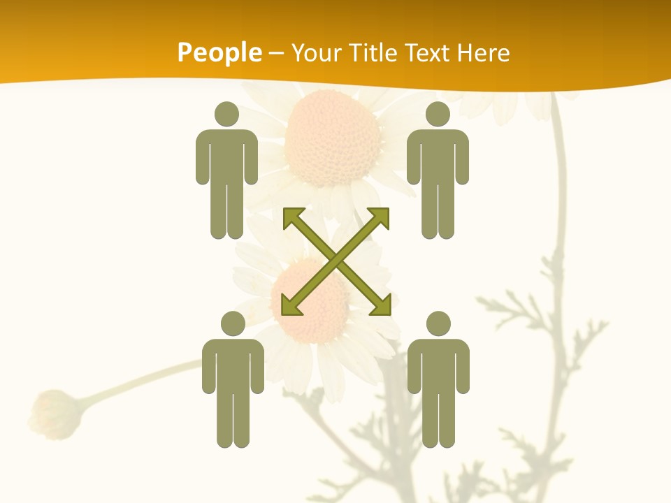 Herb Chamomile Green PowerPoint Template