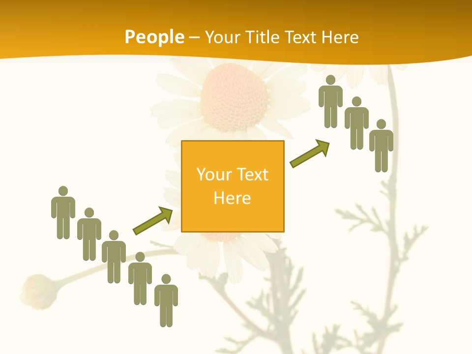 Herb Chamomile Green PowerPoint Template