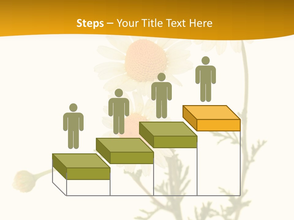 Herb Chamomile Green PowerPoint Template