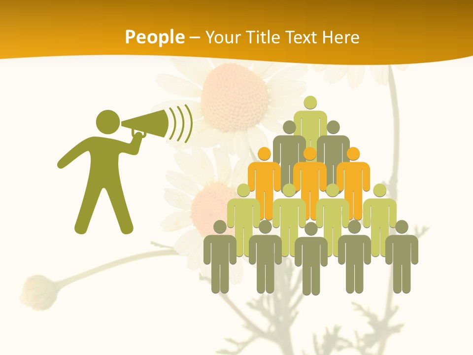 Herb Chamomile Green PowerPoint Template