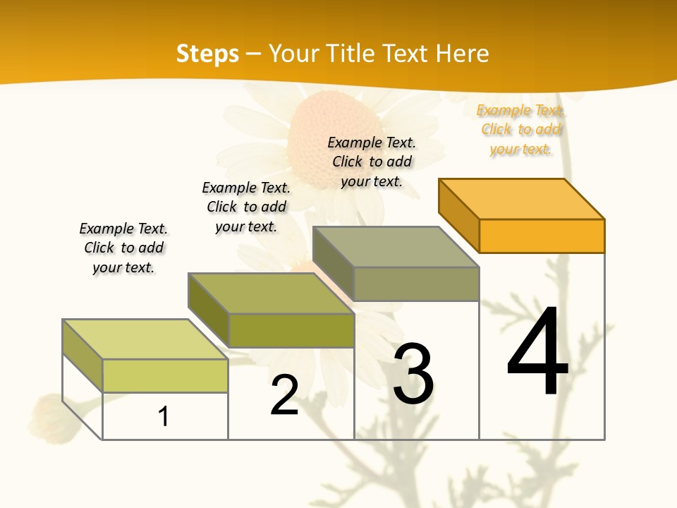 Herb Chamomile Green PowerPoint Template