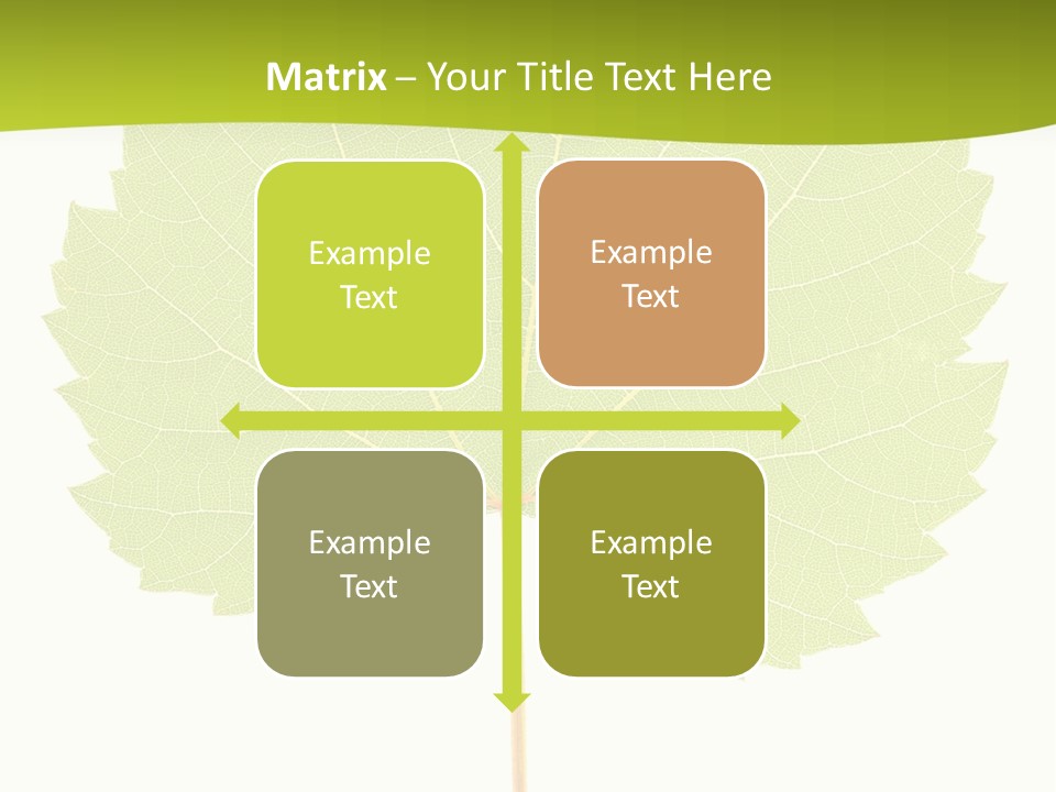 Botany Foliage Fly PowerPoint Template