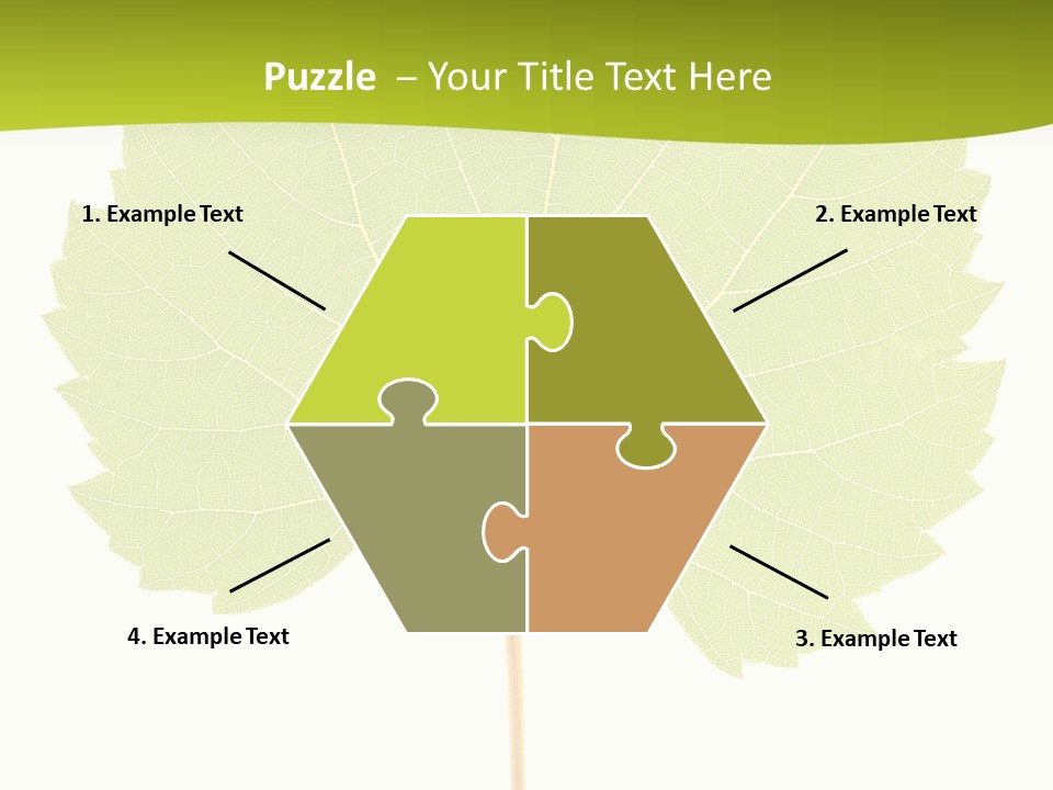 Botany Foliage Fly PowerPoint Template