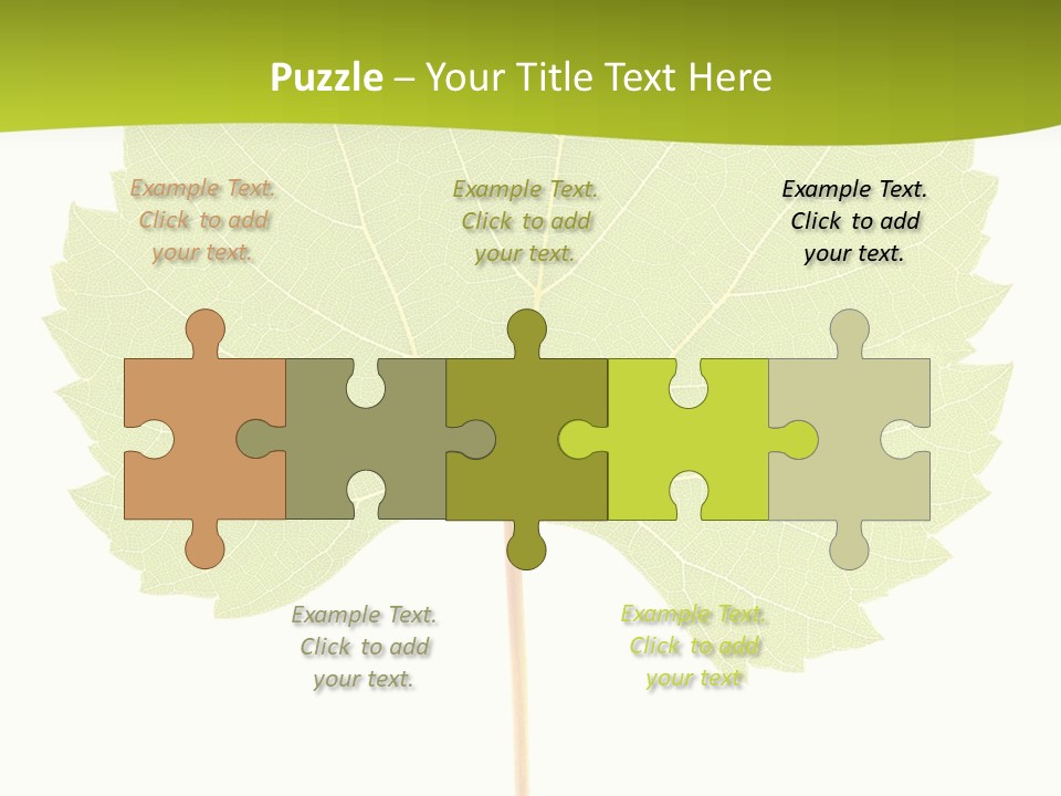 Botany Foliage Fly PowerPoint Template