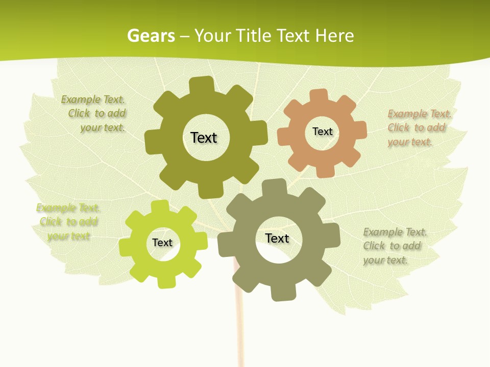 Botany Foliage Fly PowerPoint Template