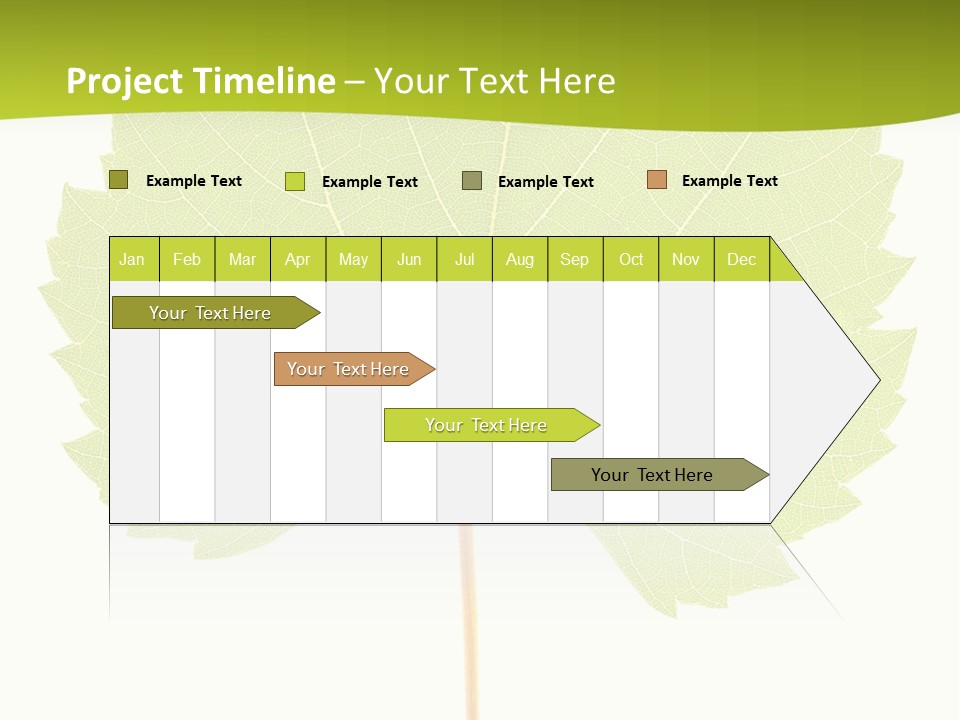 Botany Foliage Fly PowerPoint Template