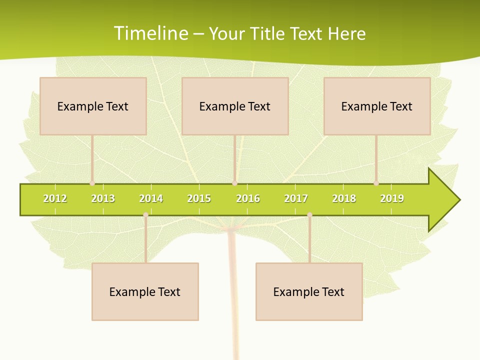 Botany Foliage Fly PowerPoint Template