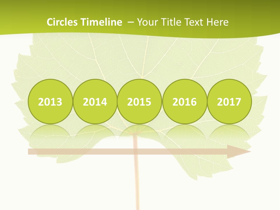 Botany Foliage Fly PowerPoint Template