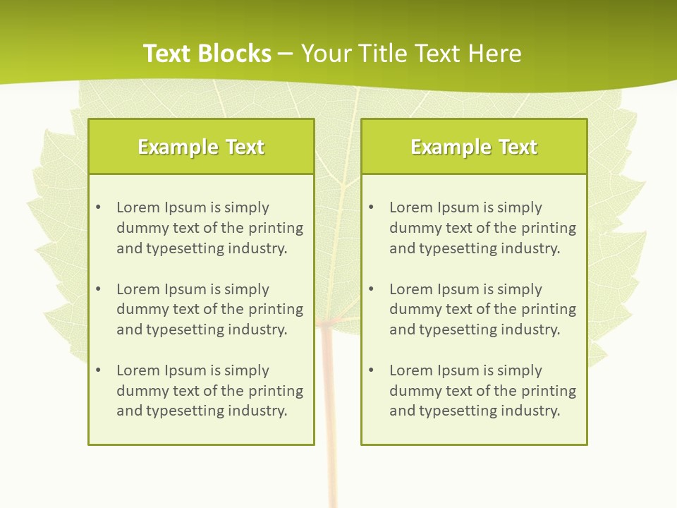 Botany Foliage Fly PowerPoint Template