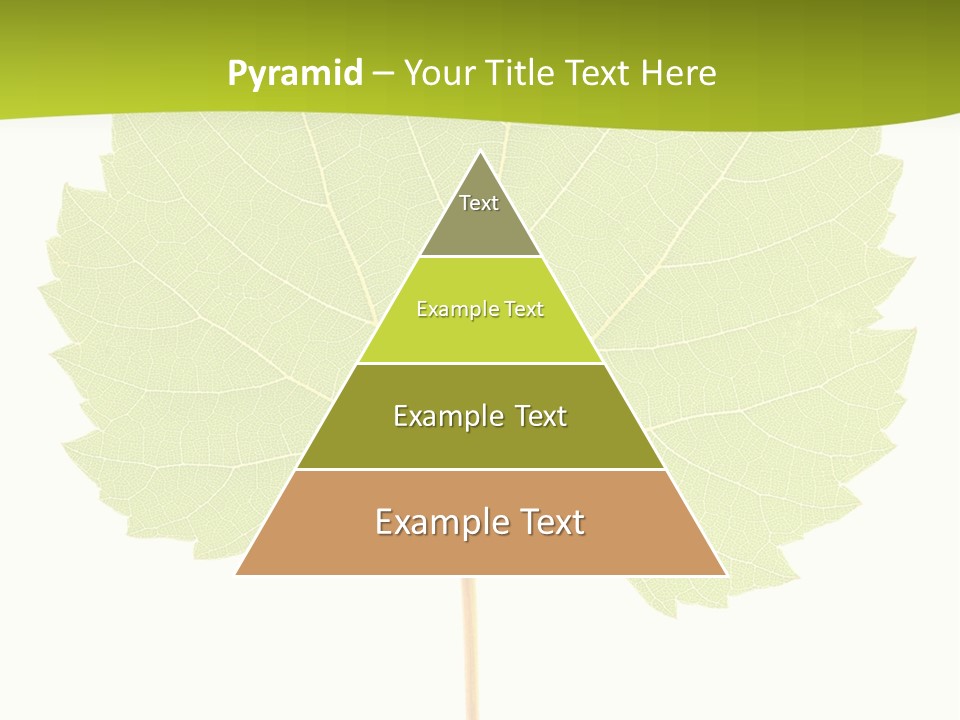 Botany Foliage Fly PowerPoint Template