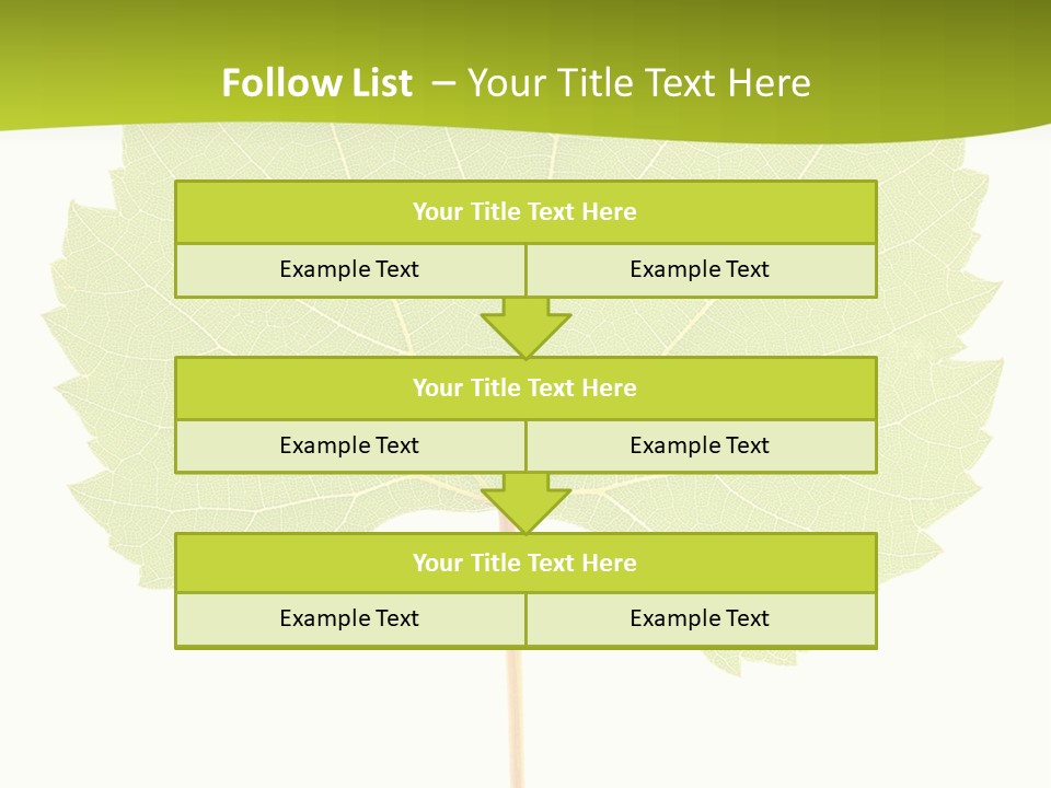 Botany Foliage Fly PowerPoint Template