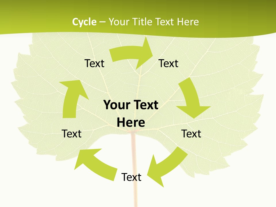 Botany Foliage Fly PowerPoint Template