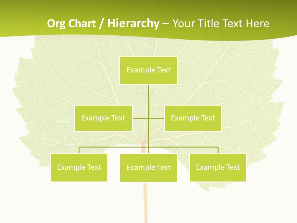 Botany Foliage Fly PowerPoint Template
