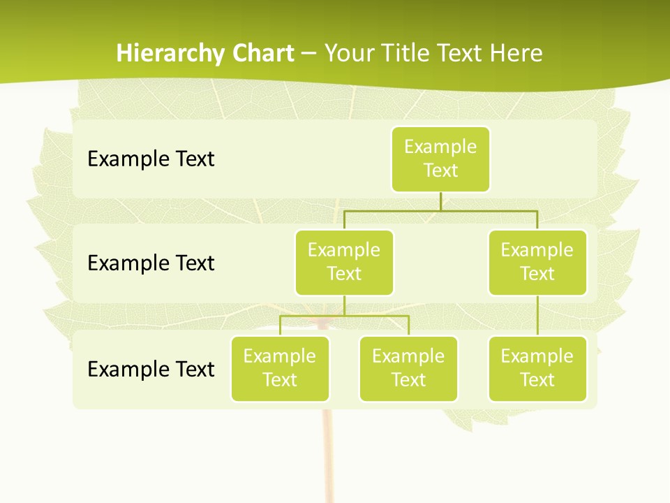 Botany Foliage Fly PowerPoint Template