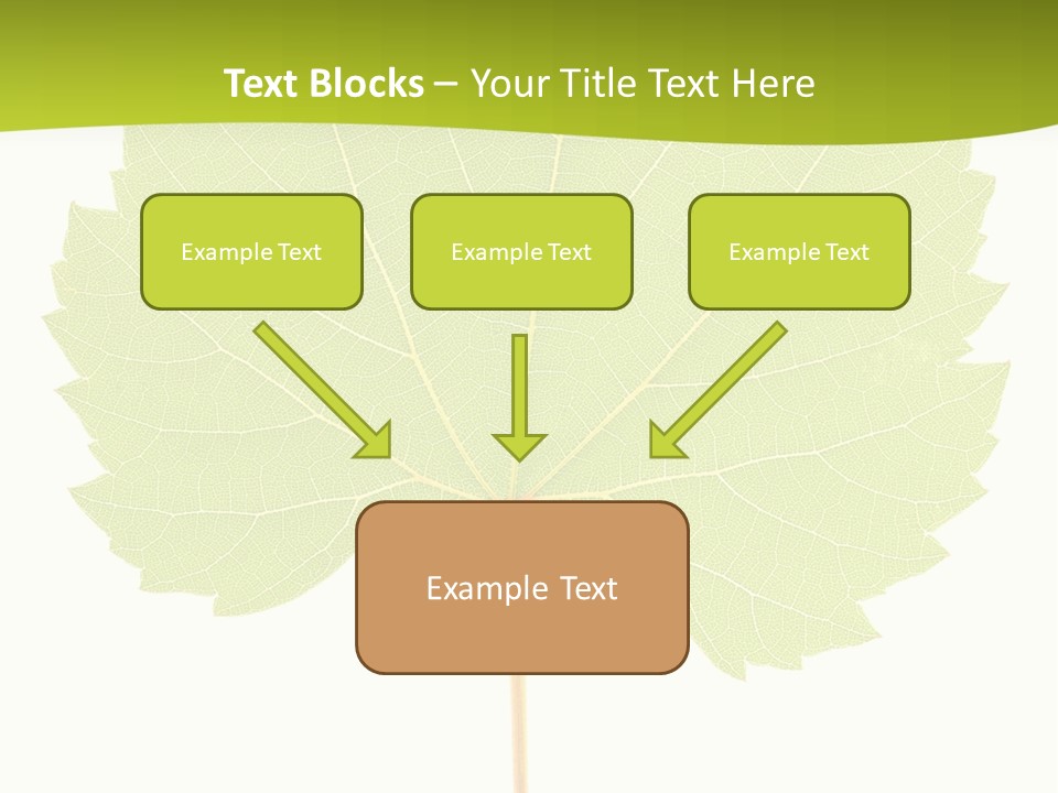 Botany Foliage Fly PowerPoint Template