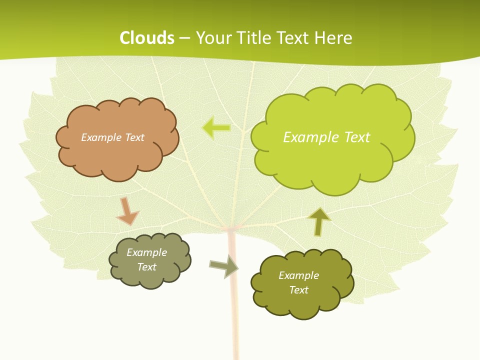Botany Foliage Fly PowerPoint Template