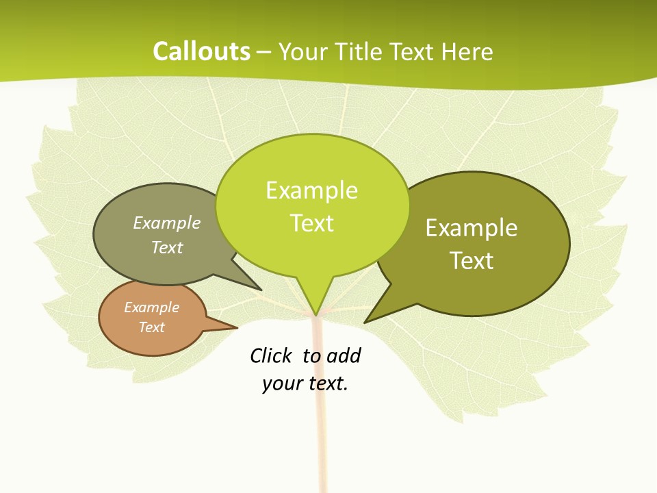 Botany Foliage Fly PowerPoint Template