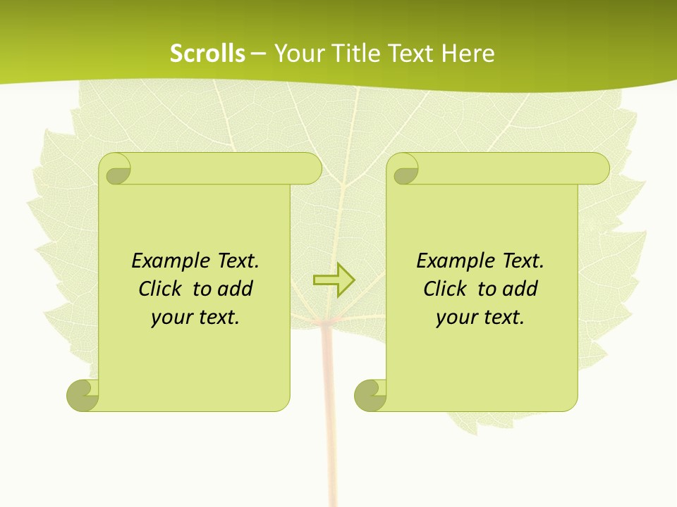 Botany Foliage Fly PowerPoint Template