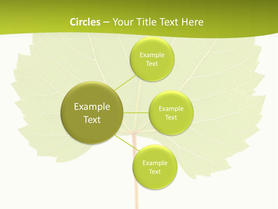 Botany Foliage Fly PowerPoint Template