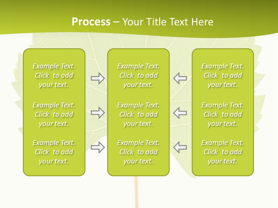 Botany Foliage Fly PowerPoint Template