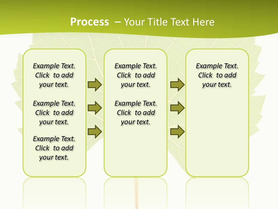Botany Foliage Fly PowerPoint Template