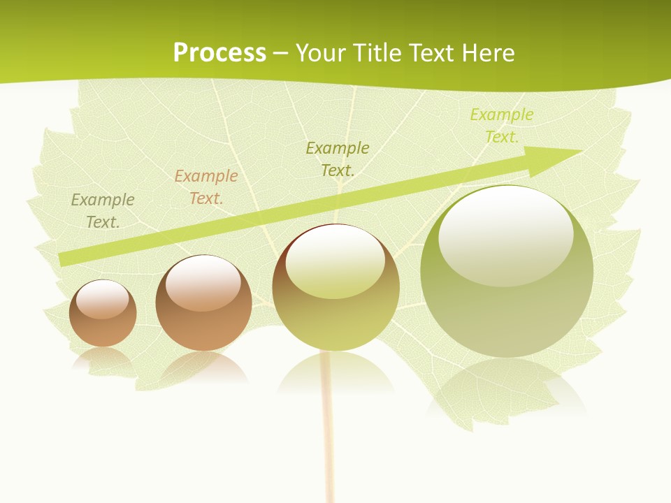 Botany Foliage Fly PowerPoint Template