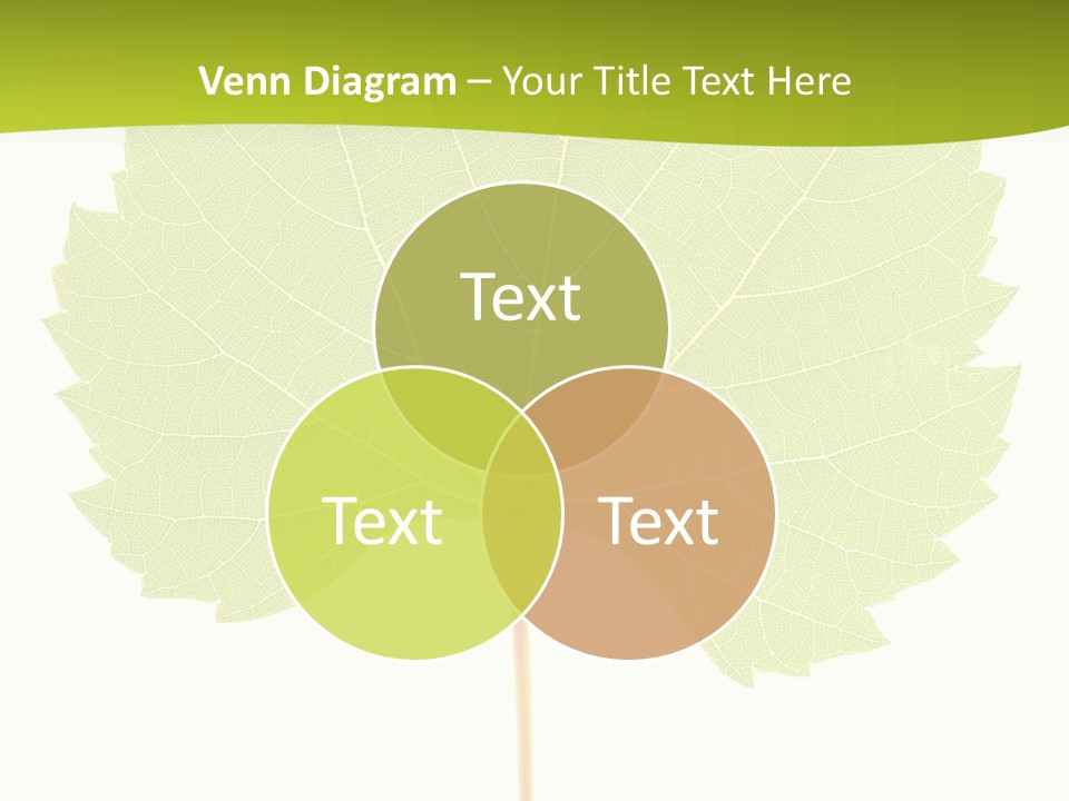 Botany Foliage Fly PowerPoint Template