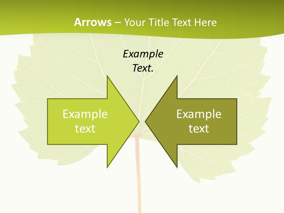 Botany Foliage Fly PowerPoint Template