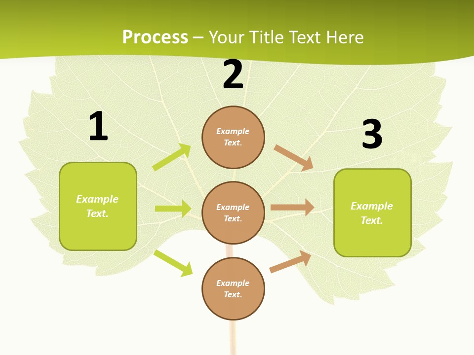 Botany Foliage Fly PowerPoint Template