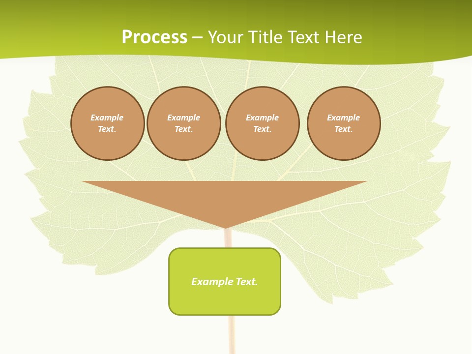 Botany Foliage Fly PowerPoint Template