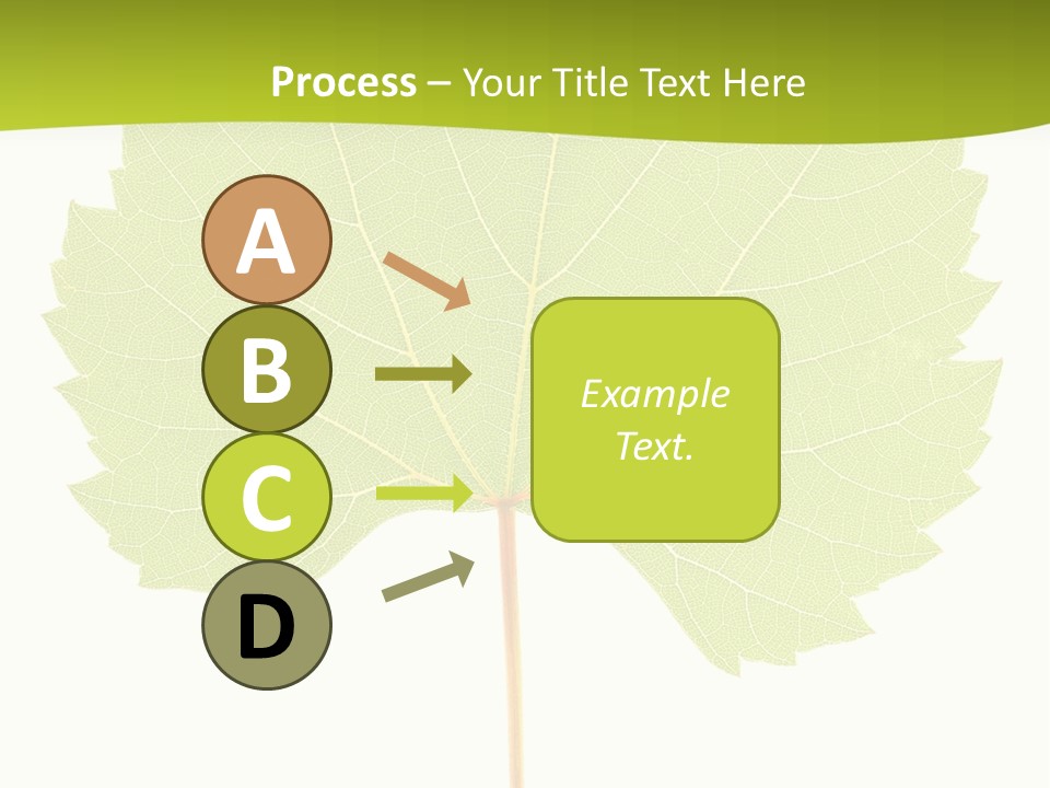 Botany Foliage Fly PowerPoint Template