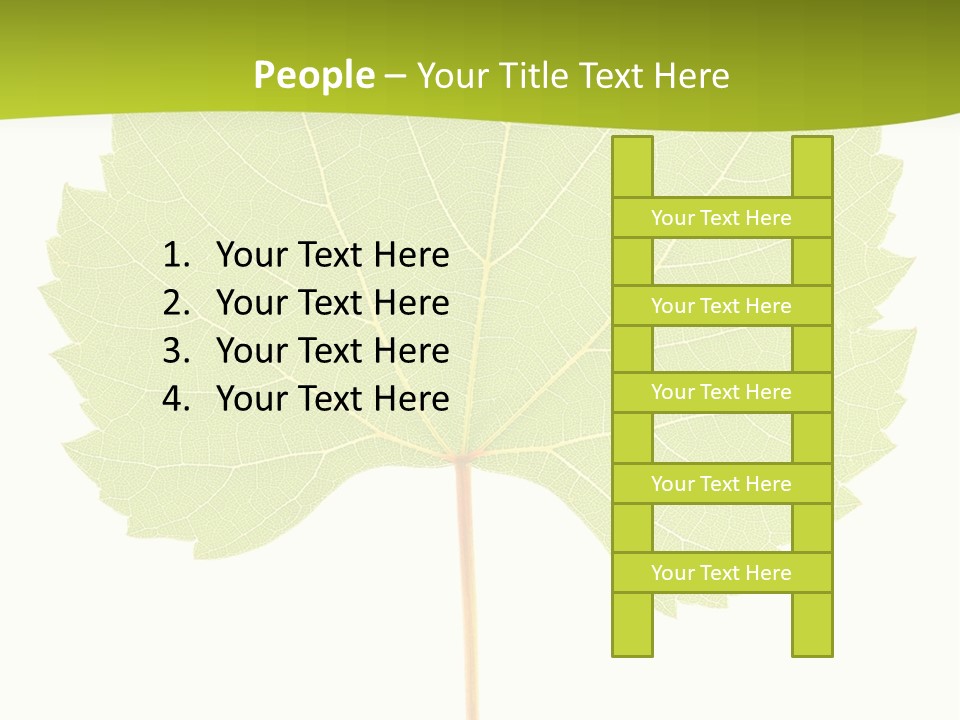 Botany Foliage Fly PowerPoint Template