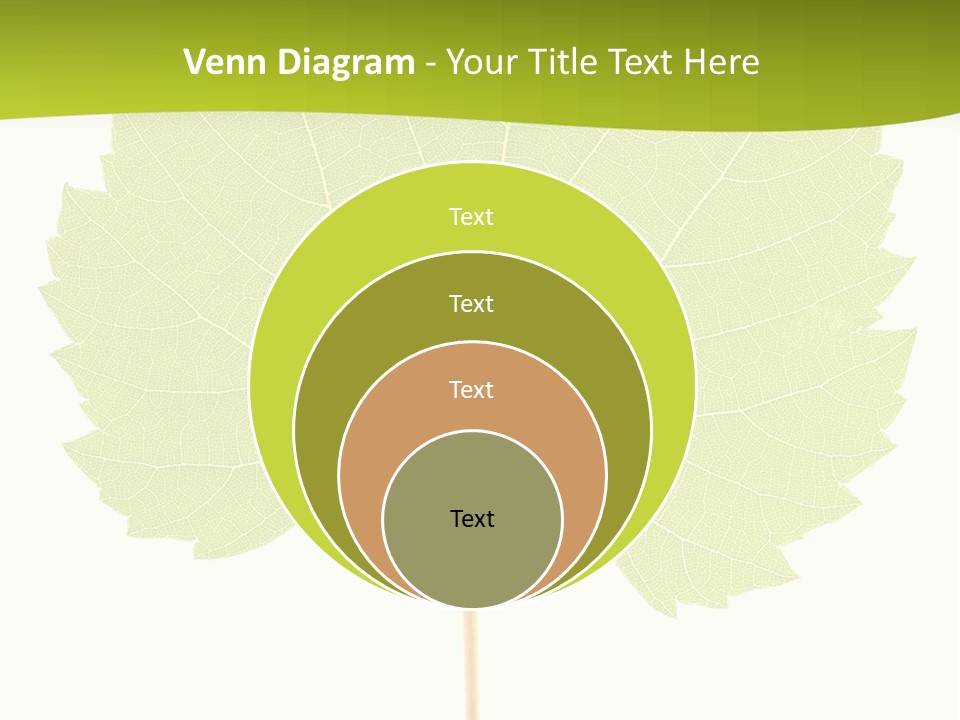 Botany Foliage Fly PowerPoint Template