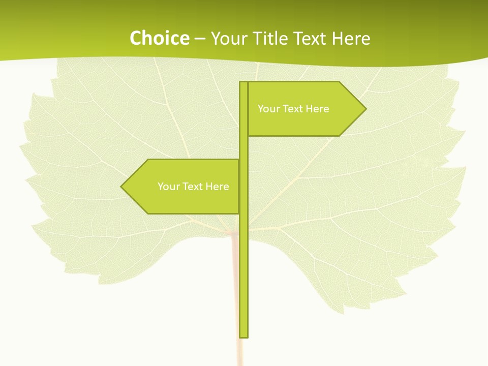 Botany Foliage Fly PowerPoint Template